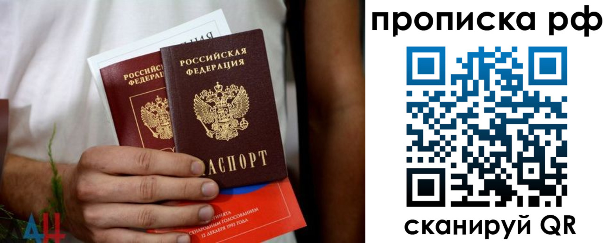 прописка паспорт в Мончегорске